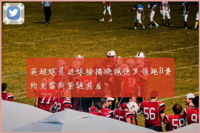 英超球员进球榜揭晓佩德罗领跑B费约克雷斯紧随其后