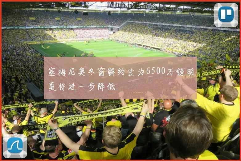 塞梅尼奥冬窗解约金为6500万镑明夏将进一步降低