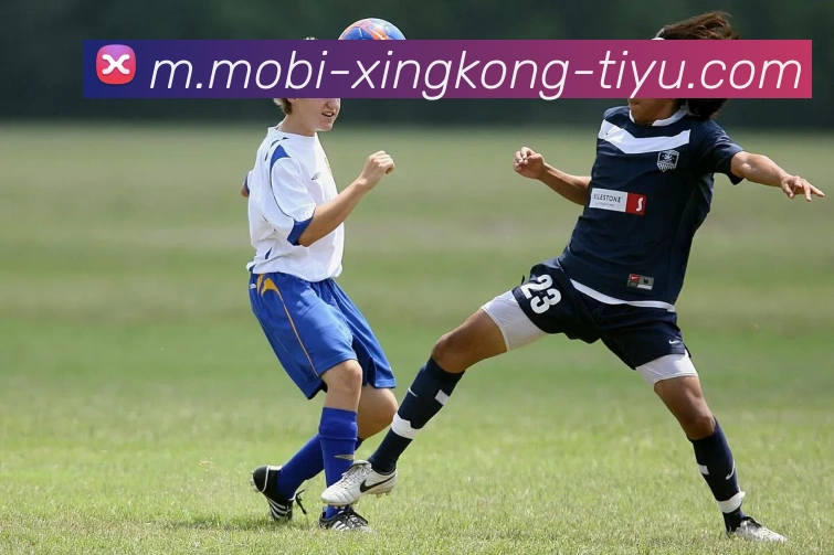 星空体育平台生态图